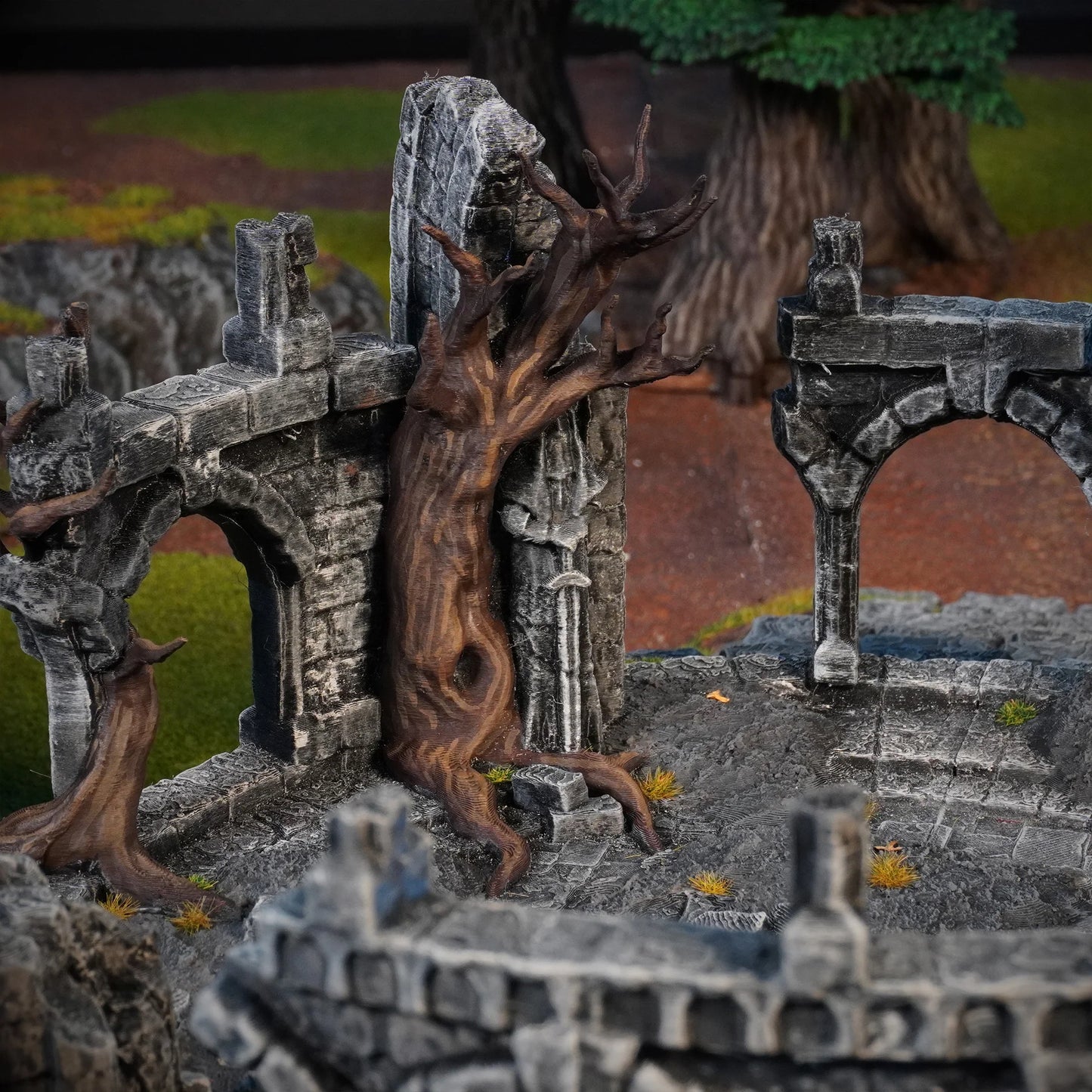 Hill Top Ruin