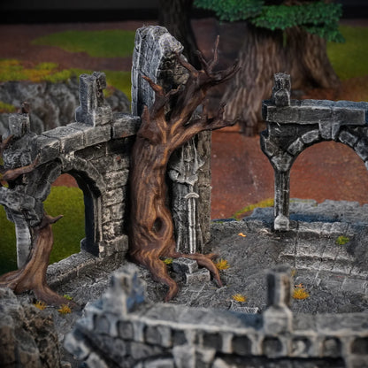 Hill Top Ruin