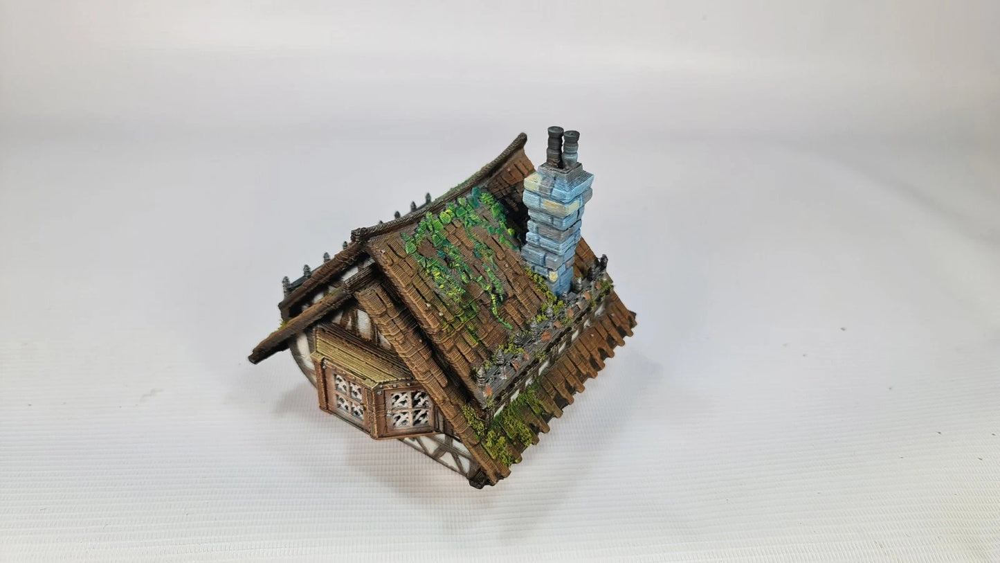 Redwood House, Medieval Town- The Frost